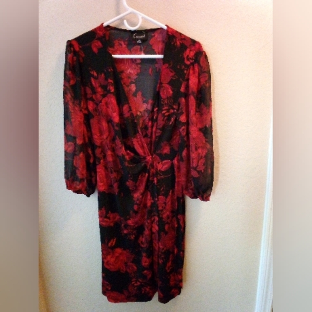 Connected Apparel Dress